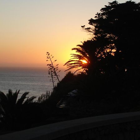 Villa Dos Teixos Cascais Kültér fotó